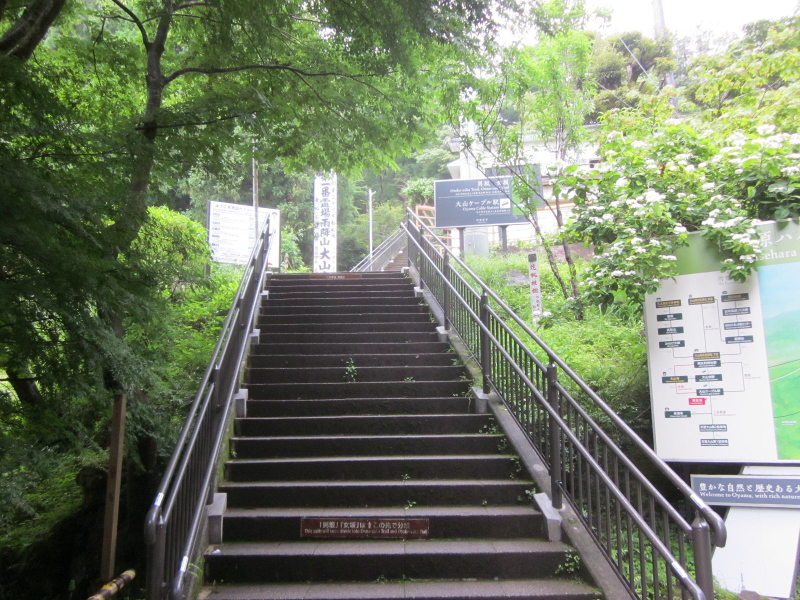 大山寺（おおやまでら）